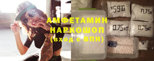 индика Алзамай