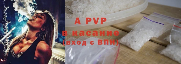 индика Алзамай