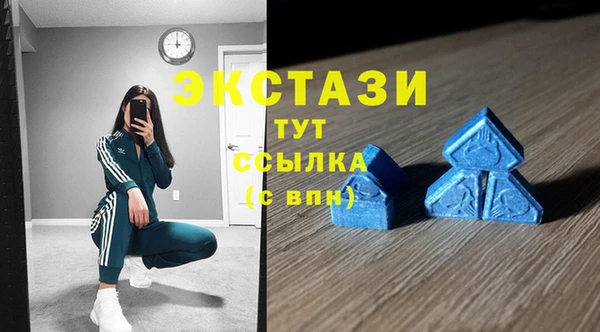 индика Алзамай