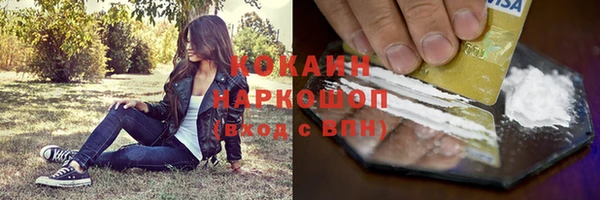 соль ск Алексин